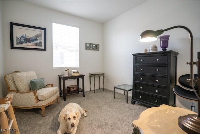 662 Foam Flower Ln, Henderson, NV 89015 - photo 13