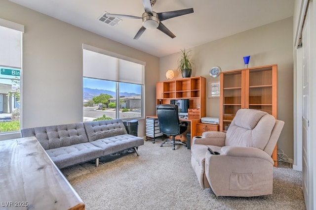 4510 S Birch Ct, Pahrump, NV 89061 - photo 9