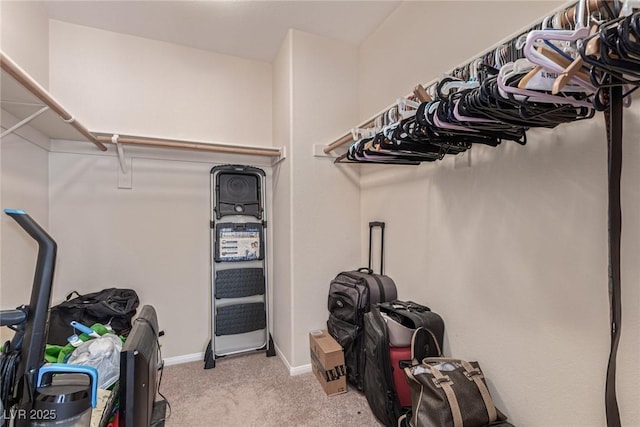 9221 Thunder Falls Ct, Las Vegas, NV 89149 - walk in closet featuring carpet flooring