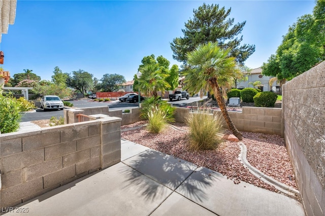 3448 Twilight Star Dr, Las Vegas, NV 89117 - view of yard