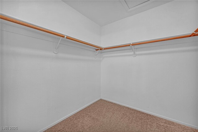 3448 Twilight Star Dr, Las Vegas, NV 89117 - walk in closet with carpet flooring