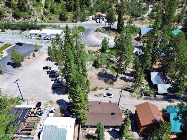 4651 Aspen Ave, Mount Charleston, NV 89124 - view of property location