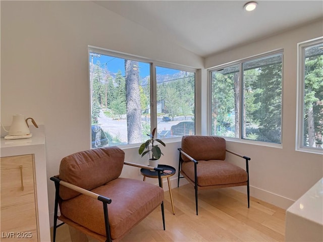 4651 Aspen Ave, Mount Charleston, NV 89124 - living area featuring light wood-style flooring, vaulted ceiling, and recessed lighting