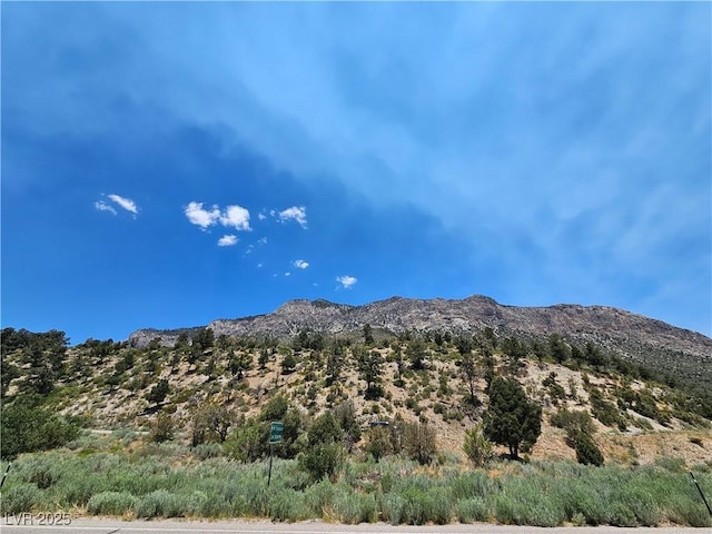 4651 Aspen Ave, Mount Charleston, NV 89124 - mountain view