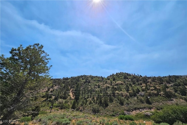 4651 Aspen Ave, Mount Charleston, NV 89124 - mountain view with a forest