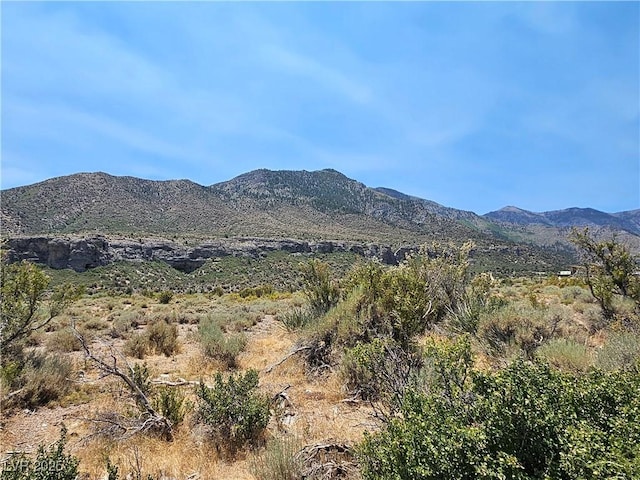 4651 Aspen Ave, Mount Charleston, NV 89124 - view of mountain backdrop