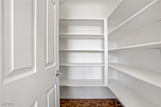 1208 Silver Bark Ave, North Las Vegas, NV 89081 - view of storage area