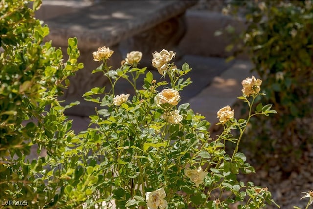17 Winding Rd, Henderson, NV 89052 - photo 85