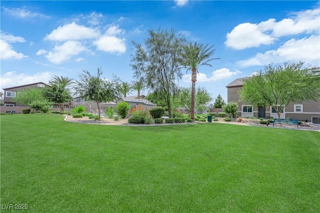 4650 Blaise Ave Unit 102, North Las Vegas, NV 89084 - view of green lawn