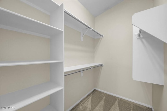 3520 Round Valley Way, Las Vegas, NV 89129 - walk in closet with carpet flooring