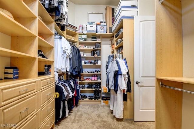 8465 Picket Ridge Ct, Las Vegas, NV 89143 - spacious closet with light colored carpet
