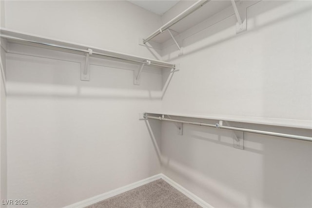 6443 Burlap Ct, Las Vegas, NV 89122 - spacious closet featuring carpet