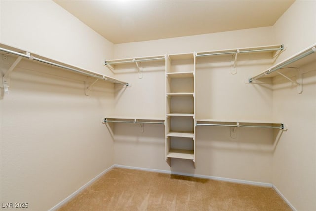 5308 Pacific Opal Ave, Las Vegas, NV 89131 - photo 19
