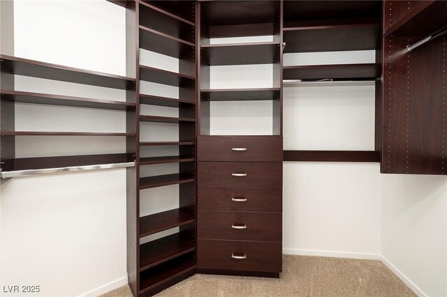7159 S Durango Dr Unit 310, Las Vegas, NV 89113 - walk in closet featuring light carpet