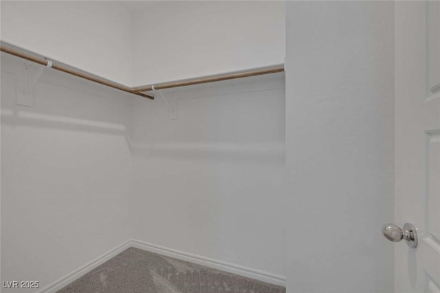 9827 Mojave Mountain St, Las Vegas, NV 89166 - walk in closet featuring carpet floors