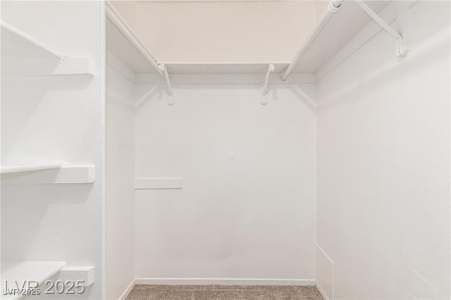 848 Hedge Way Unit 5, Las Vegas, NV 89110 - photo 19