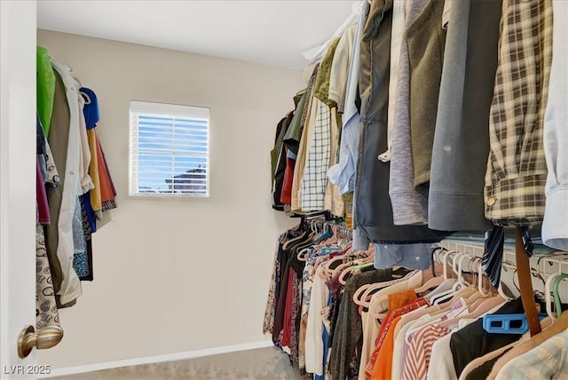 9916 Fallowdeer Ct, Las Vegas, NV 89149 - walk in closet featuring carpet