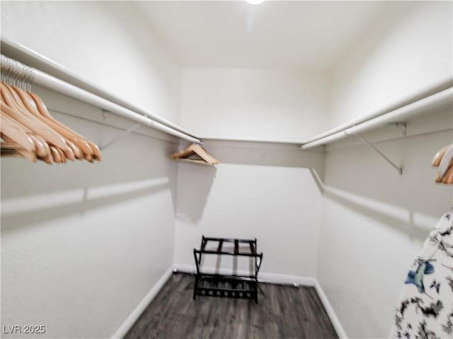5042 S Rainbow Blvd Unit 103, Las Vegas, NV 89118 - spacious closet featuring dark wood-style floors