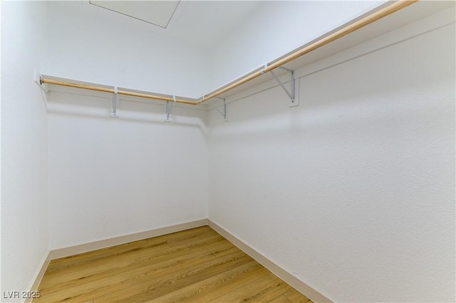 6760 Fallona Ave, Las Vegas, NV 89156 - walk in closet with light wood-style floors