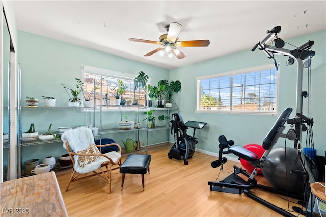 639 Lacy Ln, Las Vegas, NV 89107 - workout room with wood finished floors and ceiling fan