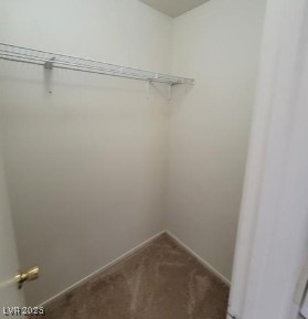 3254 Gold Run St, North Las Vegas, NV 89032 - spacious closet featuring dark colored carpet