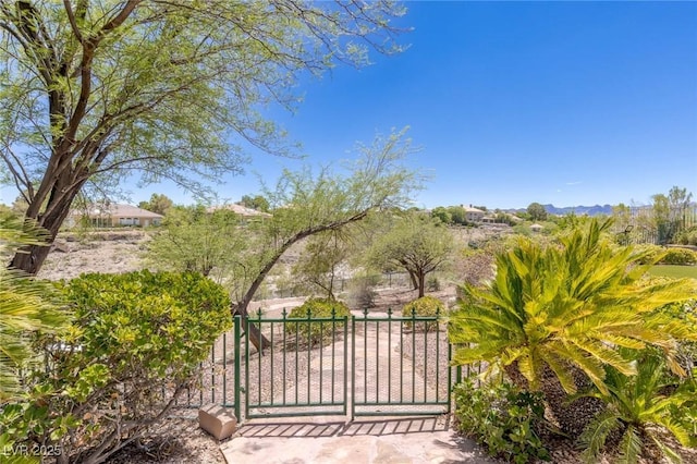 9801 Orient Express Ct, Las Vegas, NV 89145 - view of gate