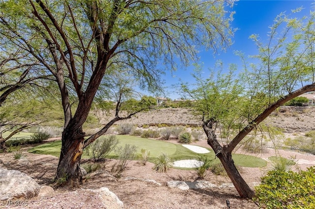 9801 Orient Express Ct, Las Vegas, NV 89145 - view of yard featuring view of golf course