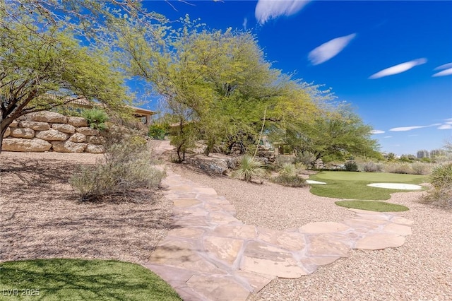 9801 Orient Express Ct, Las Vegas, NV 89145 - view of yard
