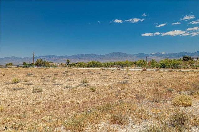 1690 W Gray Fox Way, Pahrump, NV 89048