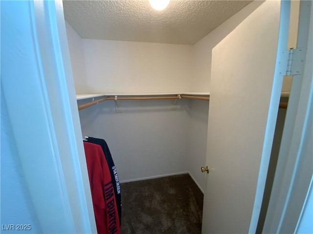 5753 E Monroe Ave, Las Vegas, NV 89110 - spacious closet with carpet flooring
