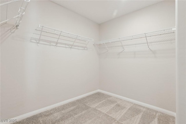 354 Spotted Dove St, Las Vegas, NV 89138 - photo 41