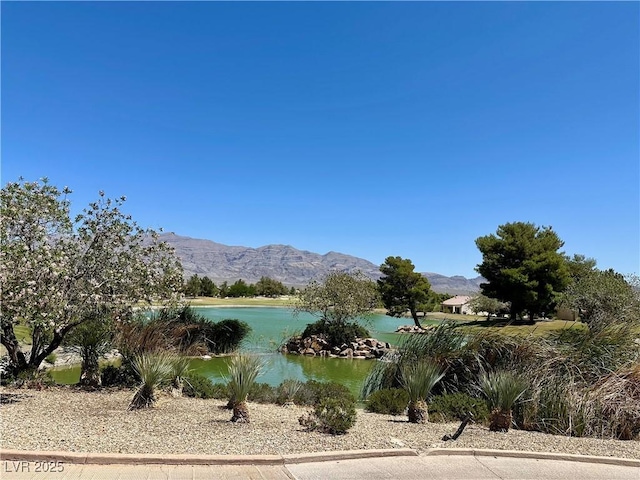 3516 Herring Gull Ln, North Las Vegas, NV 89084 - photo 32