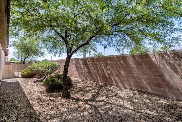 3516 Herring Gull Ln, North Las Vegas, NV 89084 - photo 23