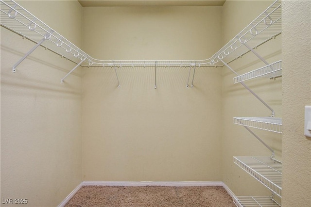 8448 Cambria Cellars Ct, Las Vegas, NV 89139 - photo 19