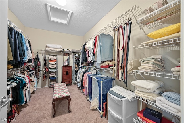 2467 Moonlight Valley Ave, Henderson, NV 89044 - photo 21