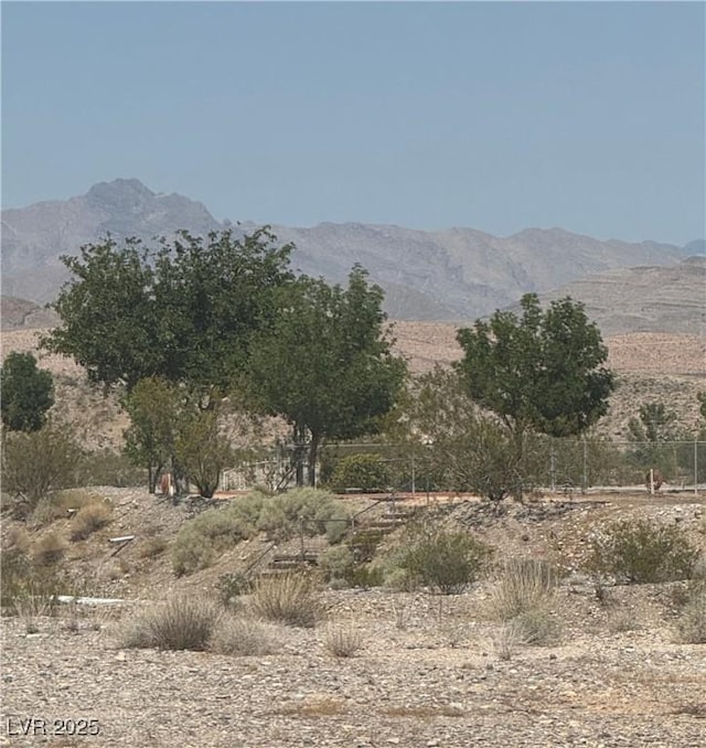 1120 Greasewood Ln, Moapa, NV 89025 - photo 21