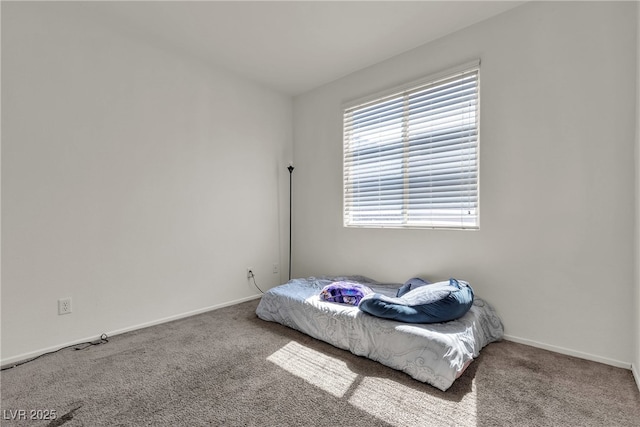 5135 Longiano Pl, Las Vegas, NV 89156 - photo 26