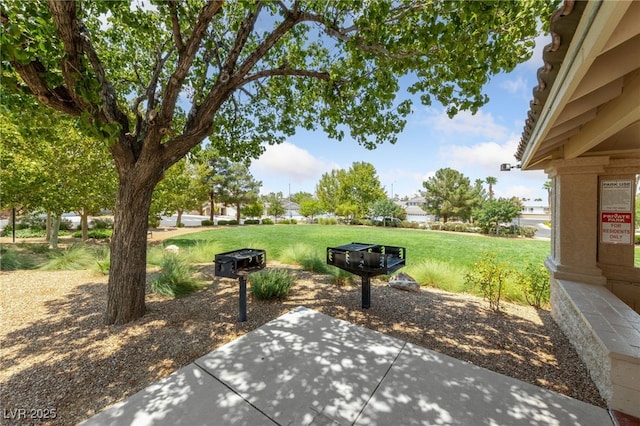 43 Black Wash Way, Henderson, NV 89074 - photo 25