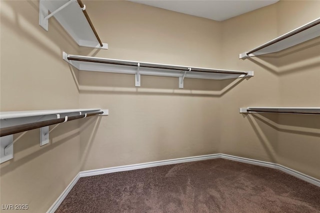 7148 White Bloom Ave, Las Vegas, NV 89117 - photo 43