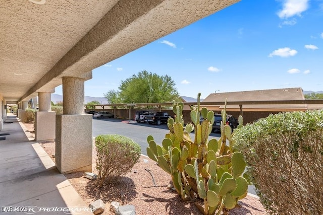 100 Pulsipher Ln Unit 7112, Mesquite, NV 89027 - photo 7