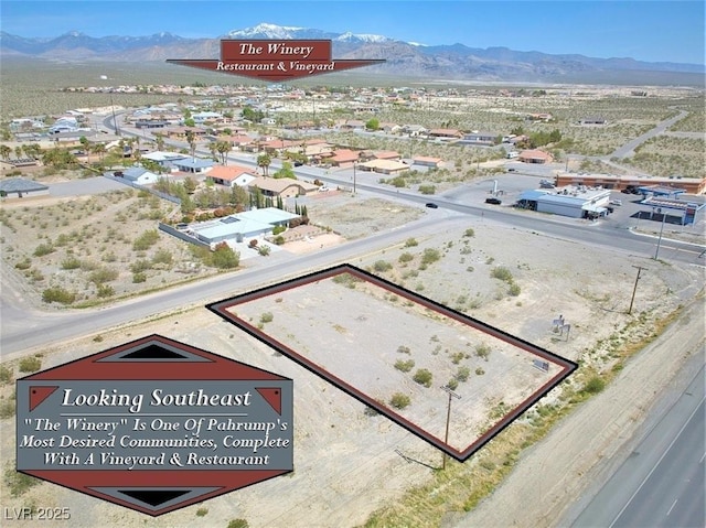 3030 S Cortina St, Pahrump, NV 89048 - photo 7