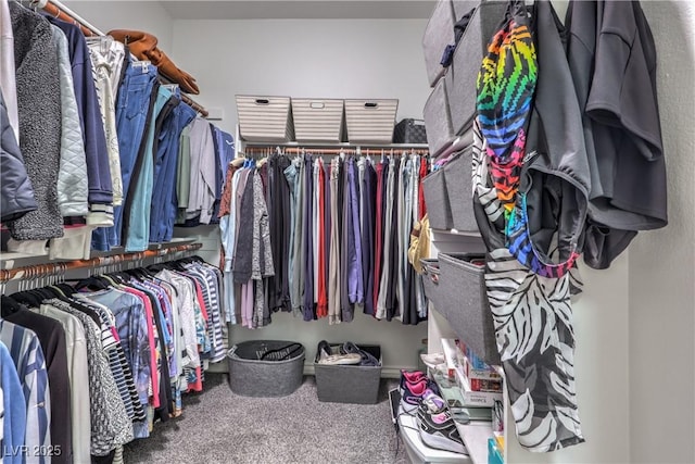 821 Titan Peak Pl Unit 102, Las Vegas, NV 89144 - photo 22