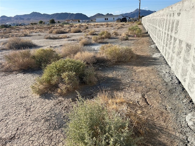 4320 Jasmine St, Pahrump, NV 89048 - photo 8