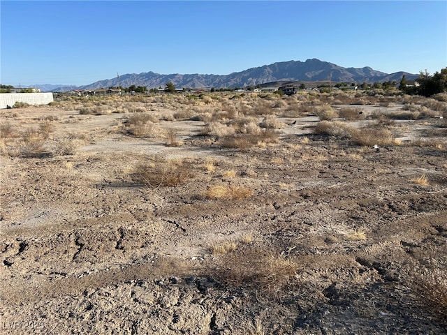 4320 Jasmine St, Pahrump, NV 89048 - photo 10