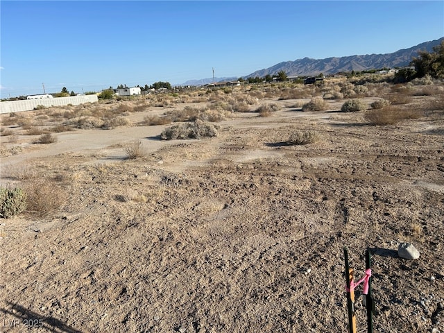 4320 Jasmine St, Pahrump, NV 89048 - photo 11