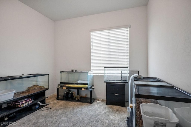 5730 Sky Pointe Dr Unit 111, Las Vegas, NV 89130 - photo 20