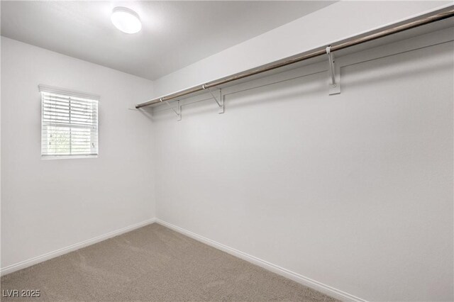 10085 S Riley St, Las Vegas, NV 89178 - photo 21