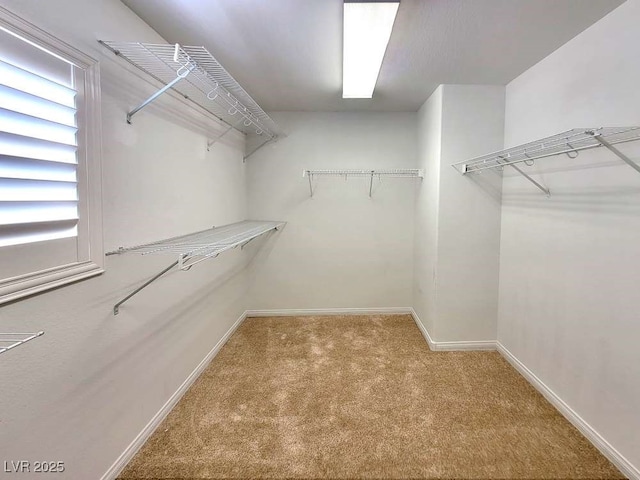 8604 Canyon Ranch St, Las Vegas, NV 89131 - photo 42