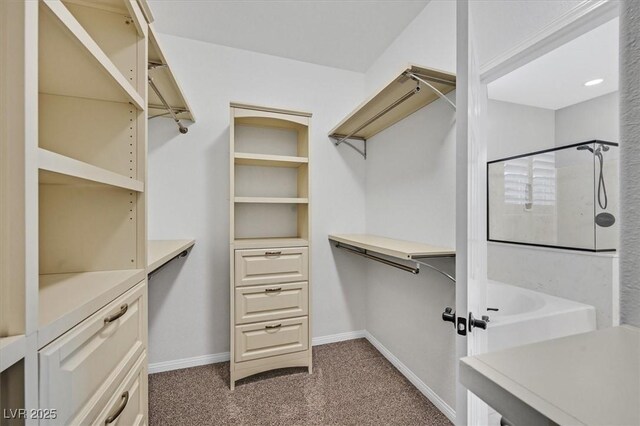 10408 Oak Terrace Ave, Las Vegas, NV 89149 - photo 9