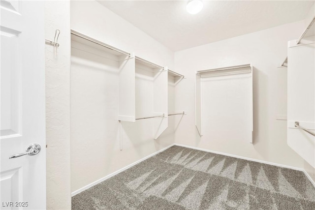 3735 Halter Dr, Las Vegas, NV 89122 - photo 23